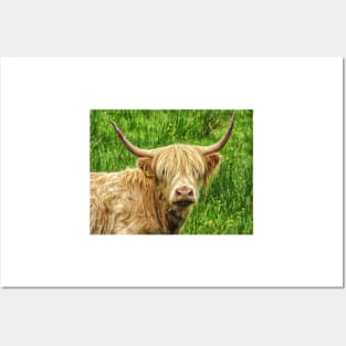 Highland cow in the green grass Posters and Art